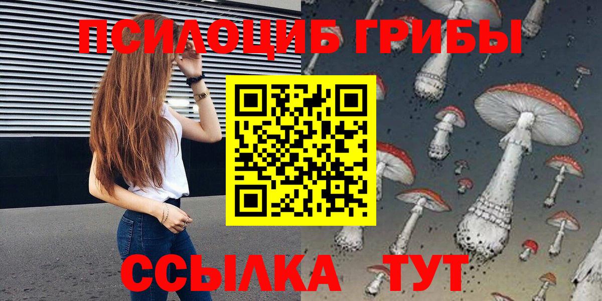 Псилоцибиновые грибы Cubensis Батайск